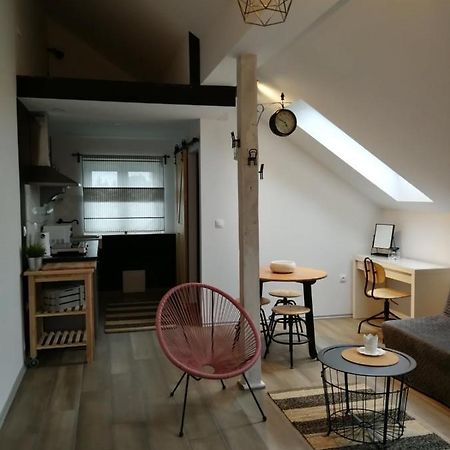 Studio Apartman Hana Daire Drežnik Grad Dış mekan fotoğraf