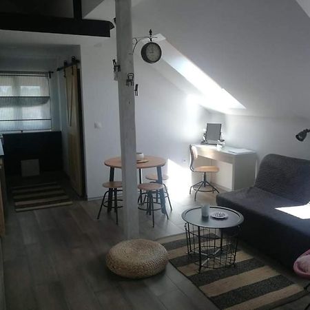 Studio Apartman Hana Daire Drežnik Grad Dış mekan fotoğraf