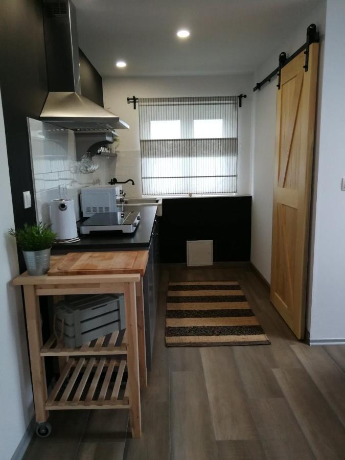 Studio Apartman Hana Daire Drežnik Grad Dış mekan fotoğraf