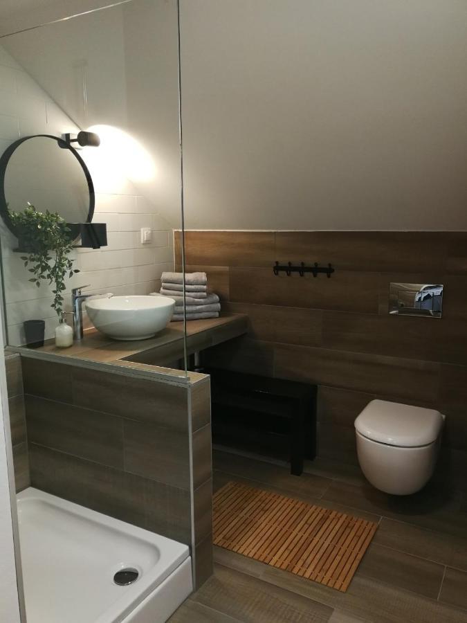Studio Apartman Hana Daire Drežnik Grad Dış mekan fotoğraf