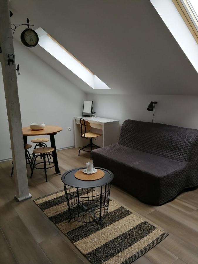 Studio Apartman Hana Daire Drežnik Grad Dış mekan fotoğraf