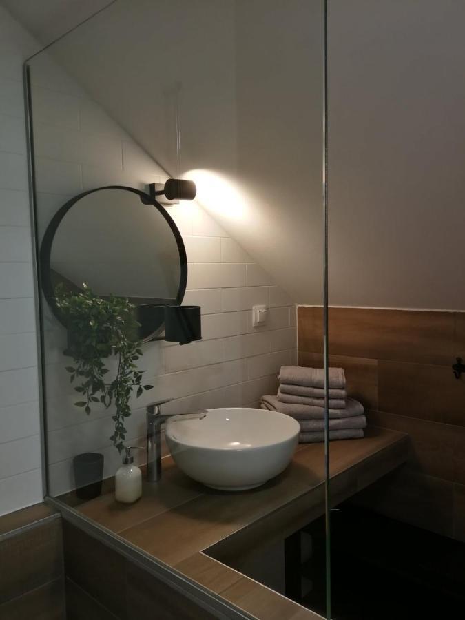 Studio Apartman Hana Daire Drežnik Grad Dış mekan fotoğraf