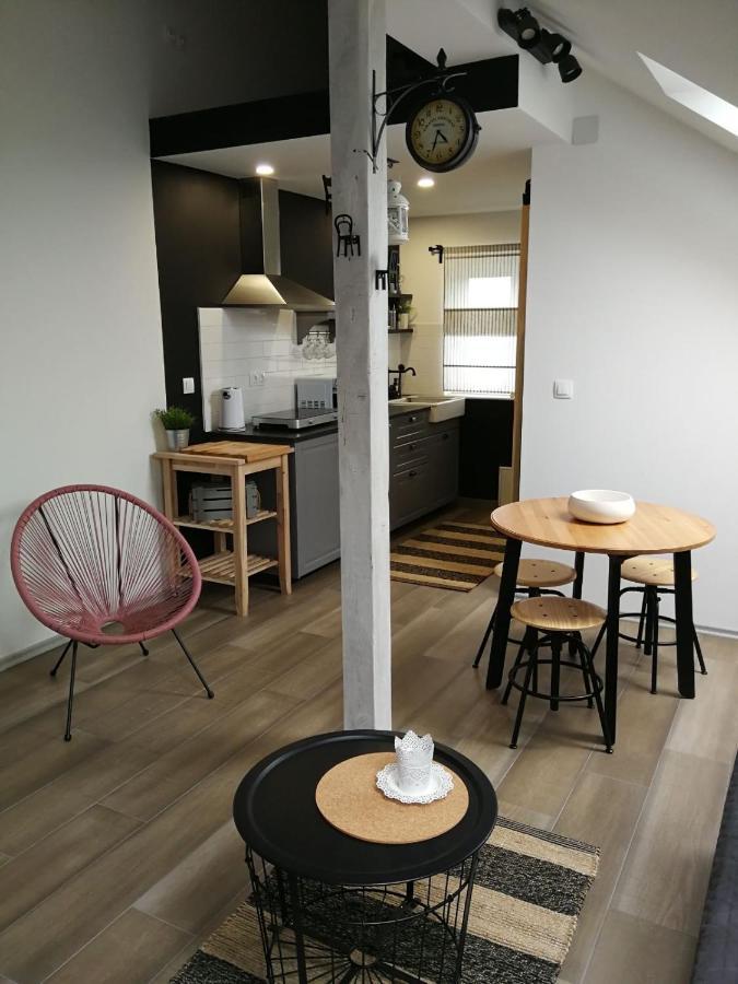 Studio Apartman Hana Daire Drežnik Grad Dış mekan fotoğraf