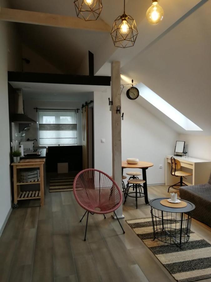 Studio Apartman Hana Daire Drežnik Grad Dış mekan fotoğraf
