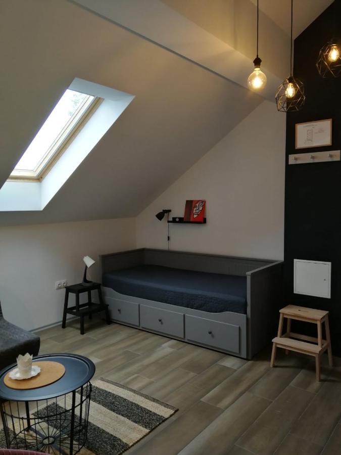 Studio Apartman Hana Daire Drežnik Grad Dış mekan fotoğraf