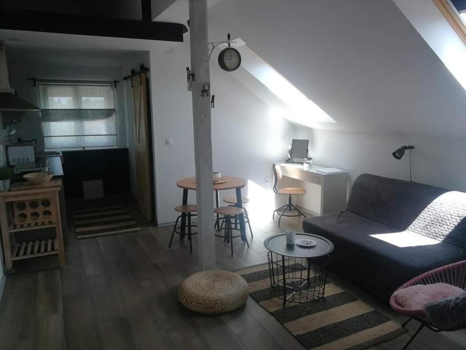 Studio Apartman Hana Daire Drežnik Grad Dış mekan fotoğraf