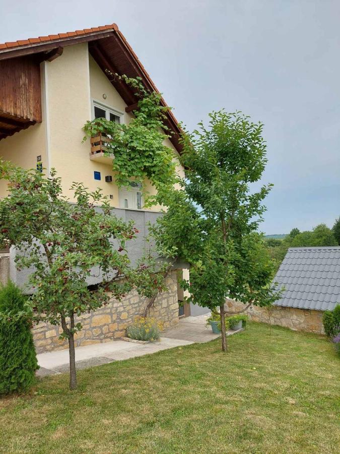 Studio Apartman Hana Daire Drežnik Grad Dış mekan fotoğraf